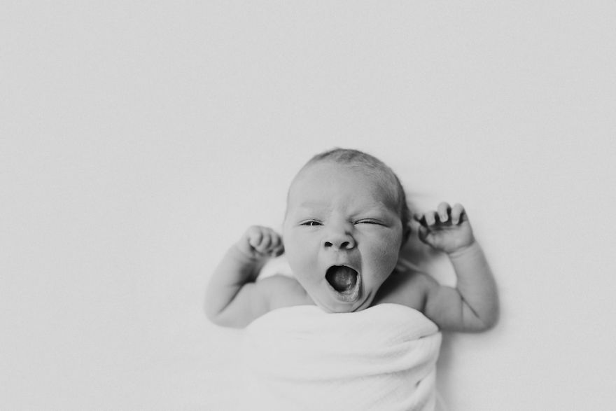 50 Best Newborn Photographers By State 50 Best Newborn Photographers By State