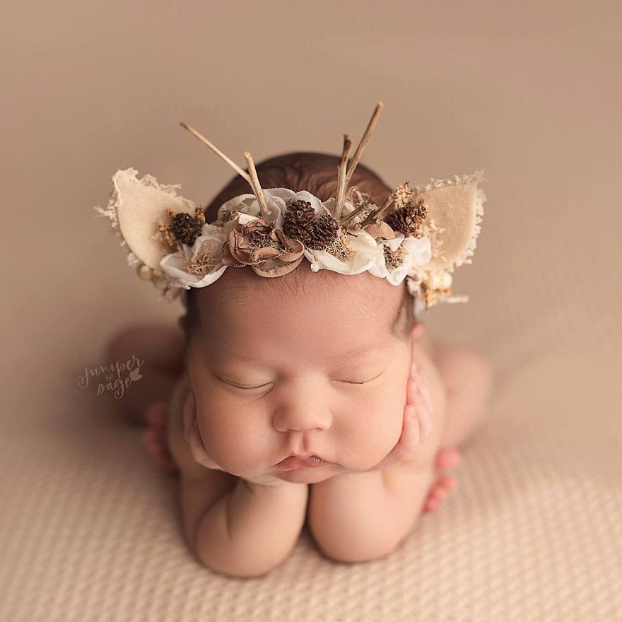 50 Best Newborn Photographers By State 50 Best Newborn Photographers By State