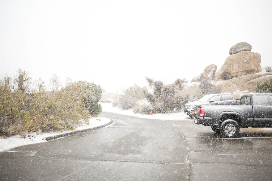 Snow In Joshua Tree National Park