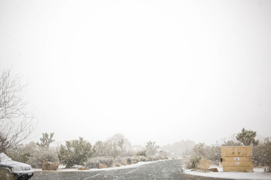 Snow In Joshua Tree National Park Snow In Joshua Tree National Park