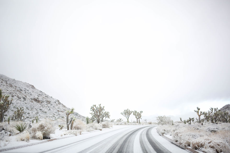 Snow In Joshua Tree National Park