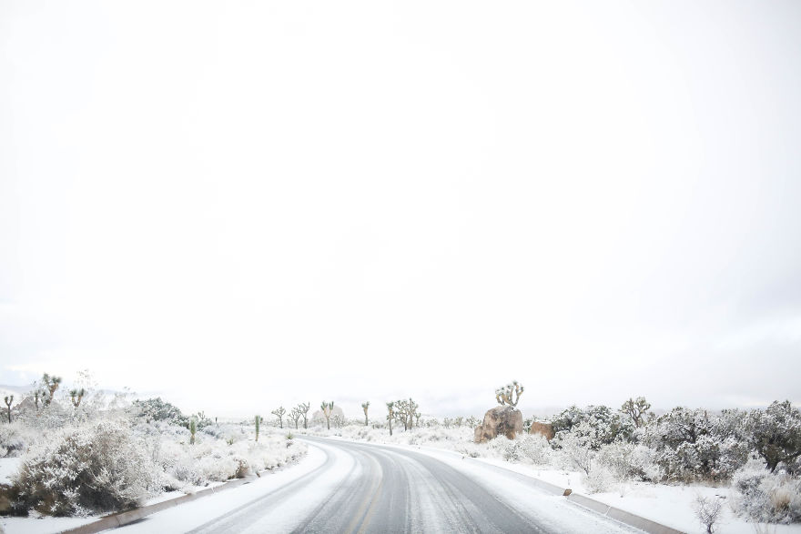 Snow In Joshua Tree National Park
