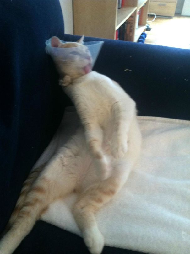 Tripping Balls After Surgery