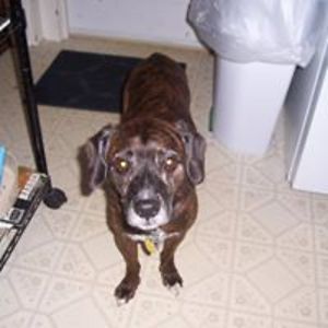 skrzynecki_katherine avatar