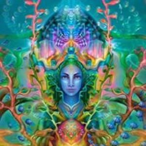 enchanted_souls avatar