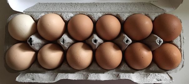 My Eggs Came With A Pleasant Gradient