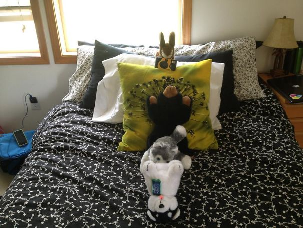 I Should Have Known Better When My Boyfriend Offered To Make My Bed