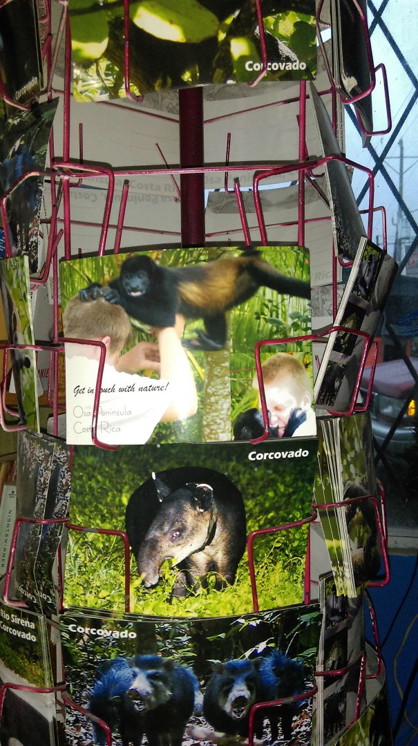 When I Was 12, I Was Attacked By A Howler Monkey In Costa Rica. My Dad Runs A Tour And Travel Company Down There, And I Found This Postcard On His Rack