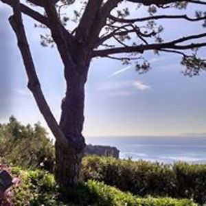 gerri2arguelles avatar