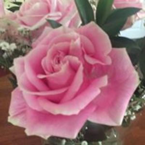 adamcnaughton avatar