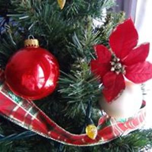 rosanne_landers avatar