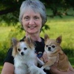 debbymccabe_1 avatar