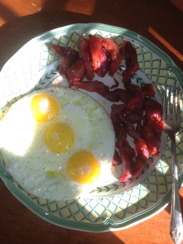 My Eggs Were Perfectly Lined Up Today