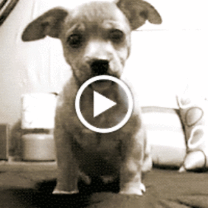 juliabielakiewicz avatar