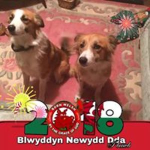 pauline_evans avatar