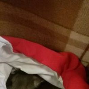 carissa_young avatar