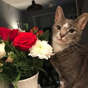 neenerbeaner23 avatar