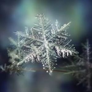 oceanstarr133 avatar