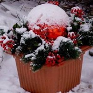 susantyndall63 avatar