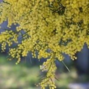 michelle_brown avatar