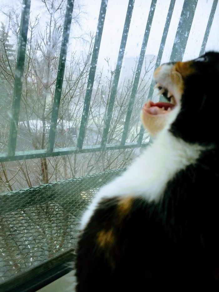 Her First Time Seeing Snow