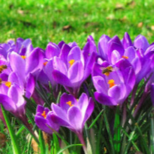 jamievalencia avatar