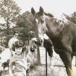 maryliztippinmoody avatar