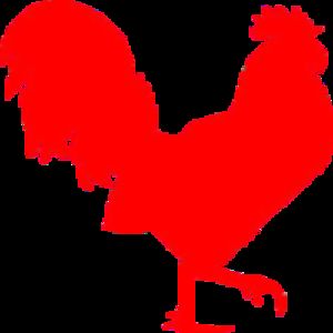 chicken_dude1 avatar