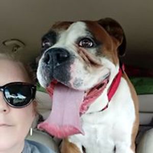 jablonskimary avatar