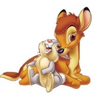 lynniesperring avatar