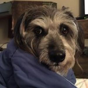 christophe555 avatar