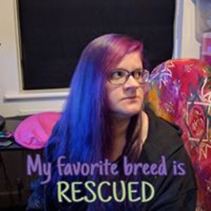 kitty_lancashire avatar