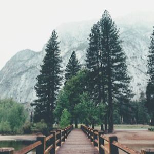 naomiwilliamson avatar