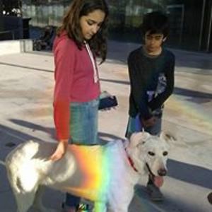 vickymarcucci avatar