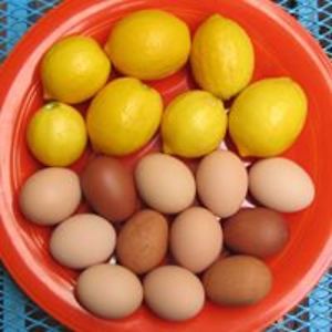 christine_berger avatar