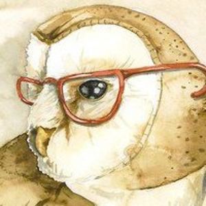 owlbare avatar