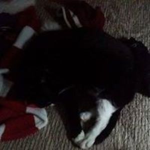 steven_m_davies avatar