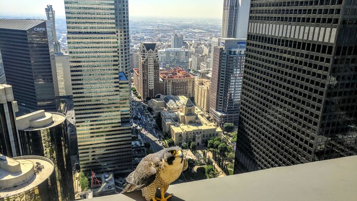 I Have A 42nd Fl Friend As Well