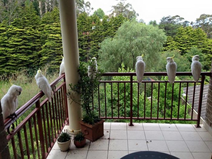 2nd Floor Friends In Australia