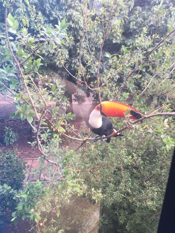 2nd Floor Feathered Friend