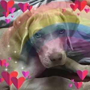 ingridkoppers avatar