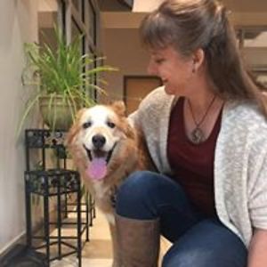 lizshelbourne avatar