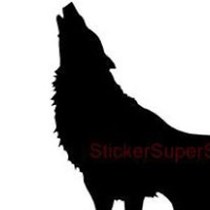wolf_3 avatar