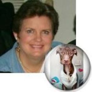 lisazarafonetis avatar