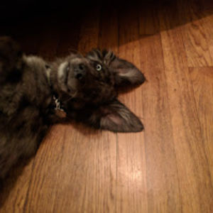 elizabethbrothers avatar