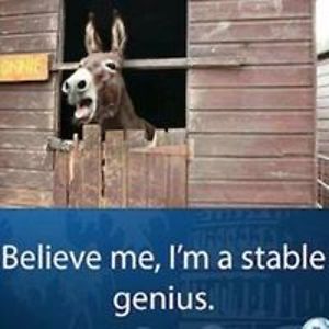 missymccoy_mccoy avatar