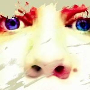 cynthia_m_lewis avatar