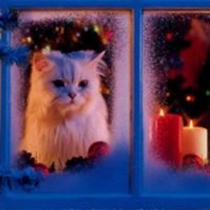 prairierose35 avatar