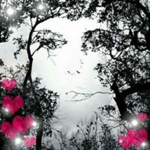 debrahspics1217 avatar