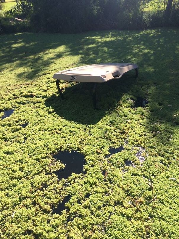 Oh Sh*t, That Wasn't Grass